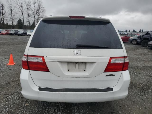 2005 Honda Odyssey EXL