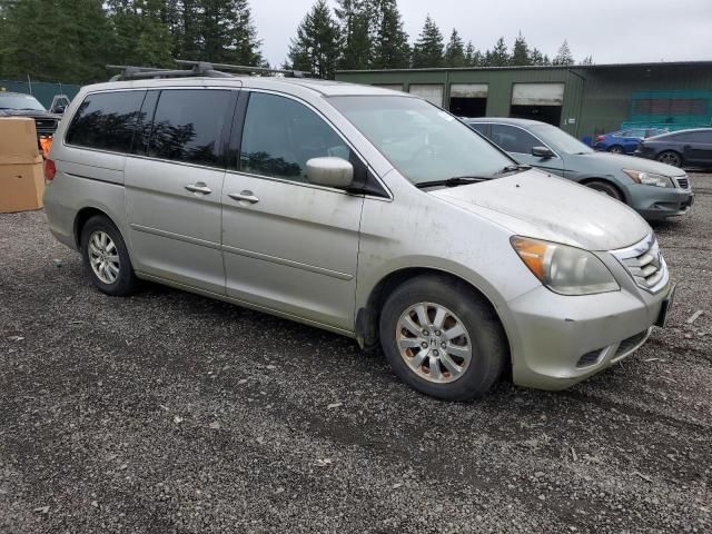 2008 Honda Odyssey EXL