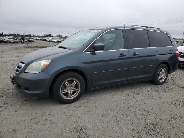 2005 Honda Odyssey EXL