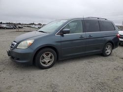 Salvage cars for sale at Eugene, OR auction: 2005 Honda Odyssey EXL