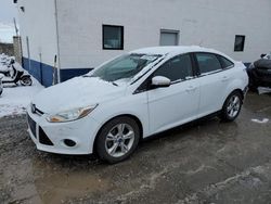 Salvage cars for sale at Farr West, UT auction: 2014 Ford Focus SE