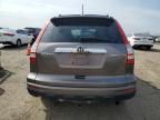 2010 Honda CR-V EXL