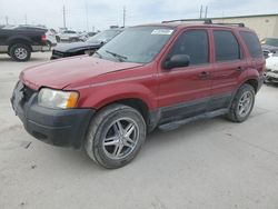 Salvage cars for sale from Copart Haslet, TX: 2003 Ford Escape XLS