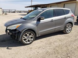 Ford Escape sel salvage cars for sale: 2013 Ford Escape SEL