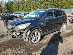 Salvage cars for sale at Graham, WA auction: 2013 Ford Escape Titanium