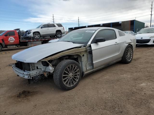 2010 Ford Mustang