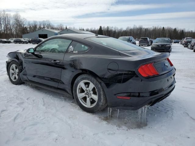 2019 Ford Mustang