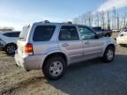 2007 Ford Escape Limited