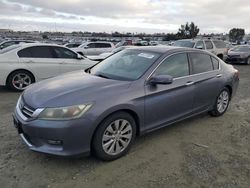 Salvage cars for sale from Copart Antelope, CA: 2015 Honda Accord EX