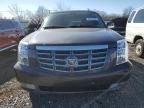 2010 Cadillac Escalade Premium