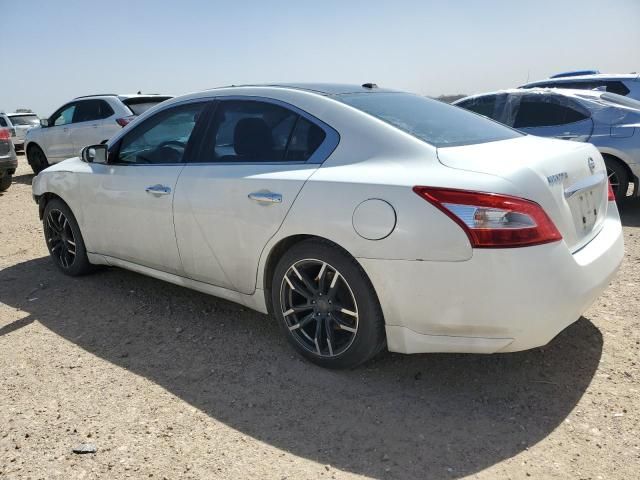 2010 Nissan Maxima S