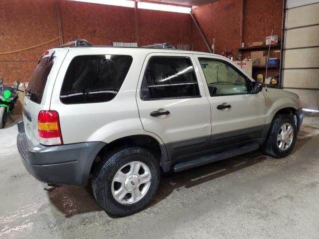 2004 Ford Escape XLT