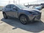 2024 Lexus NX 350 Base