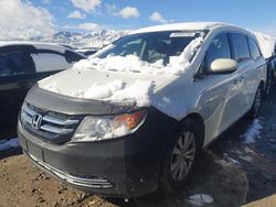 Honda Odyssey exl salvage cars for sale: 2014 Honda Odyssey EXL