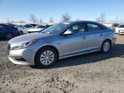 Salvage cars for sale at Eugene, OR auction: 2016 Hyundai Sonata Hybrid