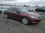 2010 Honda Accord EX