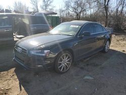 Salvage cars for sale at Baltimore, MD auction: 2014 Audi A4 Premium Plus