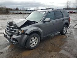 Salvage cars for sale at Columbia Station, OH auction: 2012 Ford Escape Limited