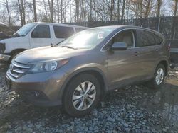 Salvage cars for sale at Waldorf, MD auction: 2014 Honda CR-V EX