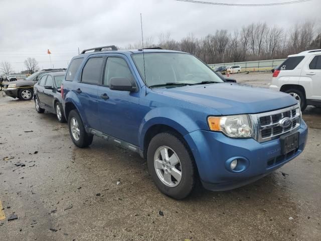 2009 Ford Escape XLT