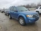 2009 Ford Escape XLT