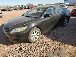 Salvage cars for sale at Phoenix, AZ auction: 2010 Toyota Camry Base