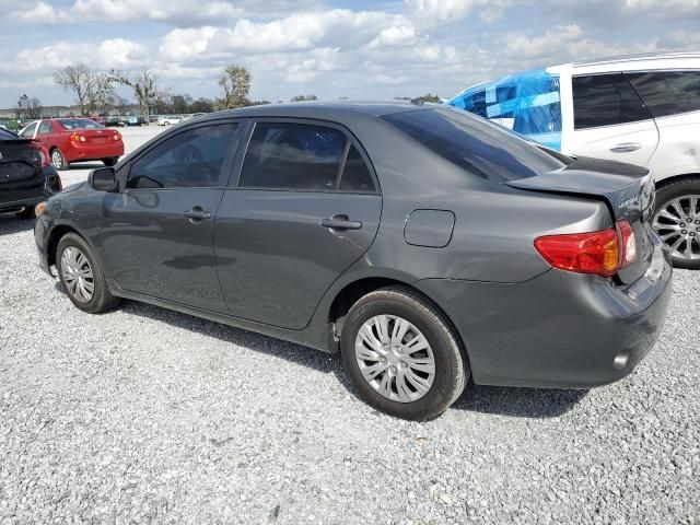 2010 Toyota Corolla Base