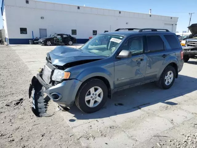 2010 Ford Escape Hybrid