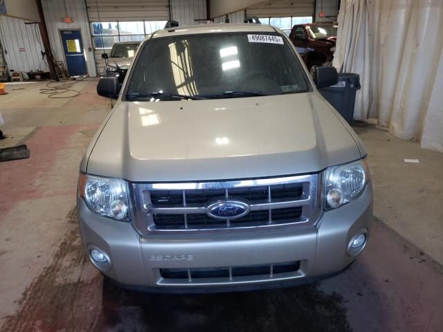 2010 Ford Escape XLT