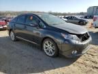 2010 Lexus HS 250H