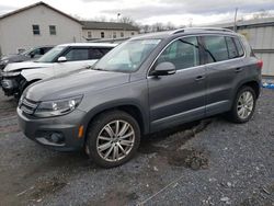 Volkswagen Tiguan s salvage cars for sale: 2012 Volkswagen Tiguan S