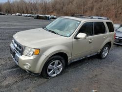 Salvage cars for sale at Marlboro, NY auction: 2011 Ford Escape Limited