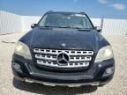 2010 Mercedes-Benz ML 350