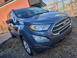 Ford Ecosport salvage cars for sale: 2018 Ford Ecosport SE