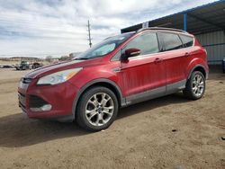 Ford Escape sel salvage cars for sale: 2013 Ford Escape SEL