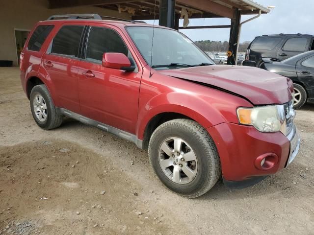 2009 Ford Escape Limited