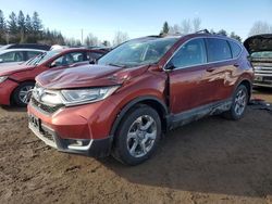 Salvage cars for sale at Bowmanville, ON auction: 2019 Honda CR-V EX