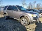 2009 Ford Escape Limited