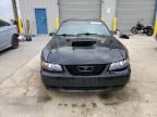 2004 Ford Mustang