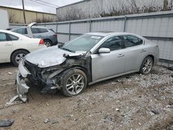 2014 Nissan Maxima S en venta en Lexington, KY