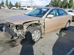 Salvage cars for sale at Rancho Cucamonga, CA auction: 2010 Toyota Camry Base