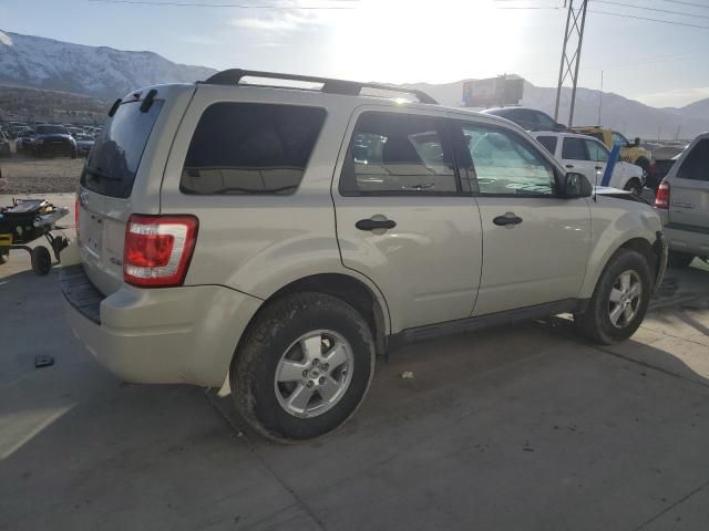 2009 Ford Escape XLT