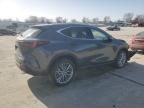 2025 Lexus NX 350H Base