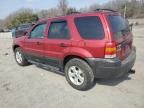 2006 Ford Escape XLT