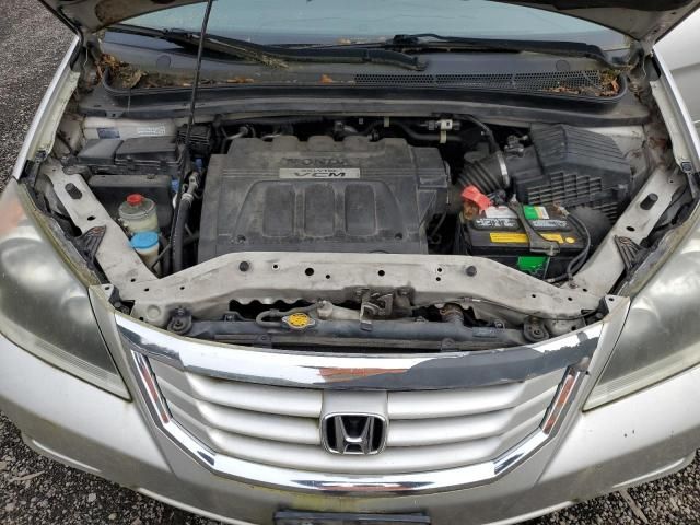 2008 Honda Odyssey EXL