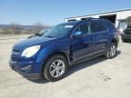 2010 Chevrolet Equinox LT