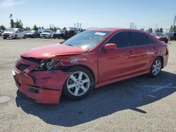 Salvage cars for sale at Rancho Cucamonga, CA auction: 2007 Toyota Camry CE