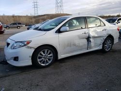 Salvage cars for sale at Littleton, CO auction: 2010 Toyota Corolla Base