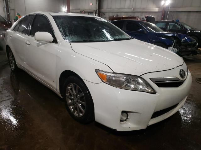 2010 Toyota Camry Hybrid