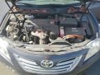 2008 Toyota Camry Hybrid